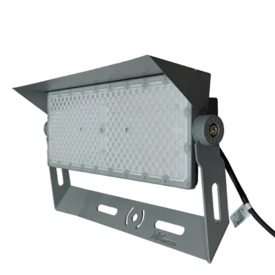 Đèn chiếu sáng sân bóng 100w
